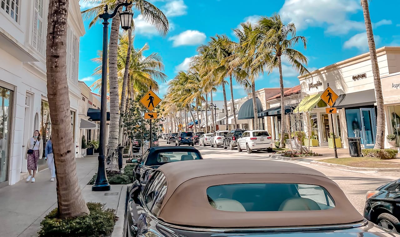 A palm-lined South Florida street lined with local storefronts